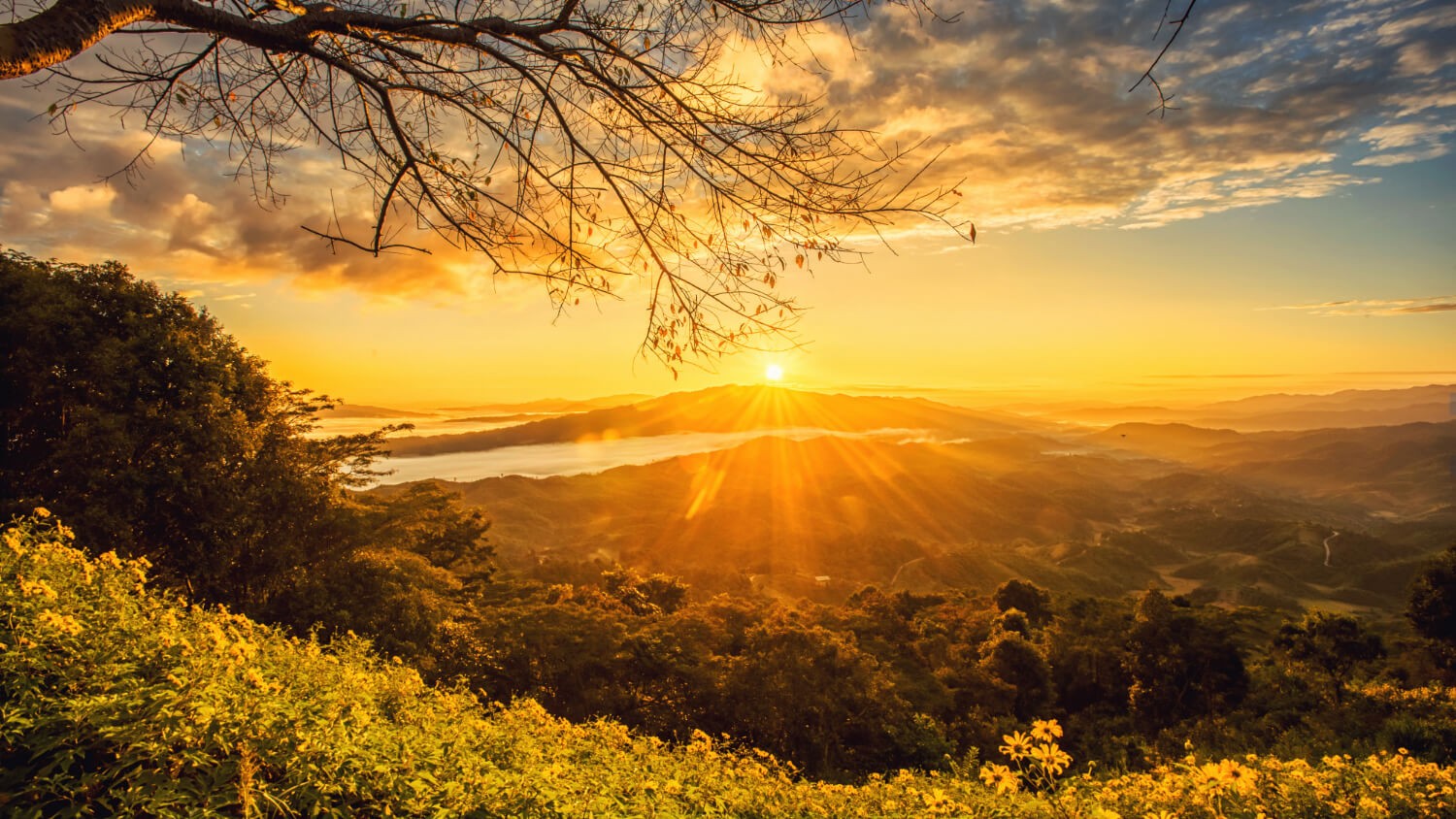 Quels sont les avantages de vivre près de la nature ?