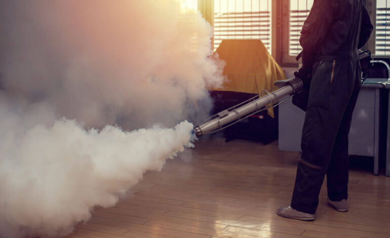 Conseils et astuces pour lutter contre les nuisibles en été