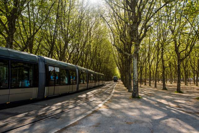 transports en commun à Bordeaux