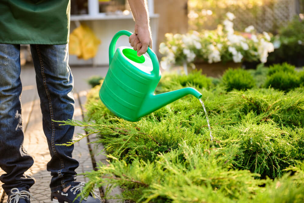 Bien entretenir son jardin par temps de grosses chaleurs