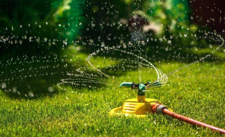 Ajouter un système d’arrosage à votre jardin
