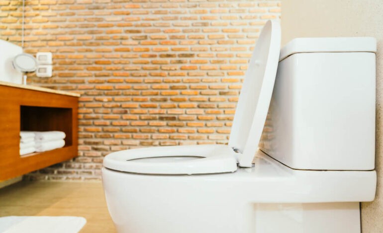  Aménager des sanitaires accueillants, même dans les petits espaces !