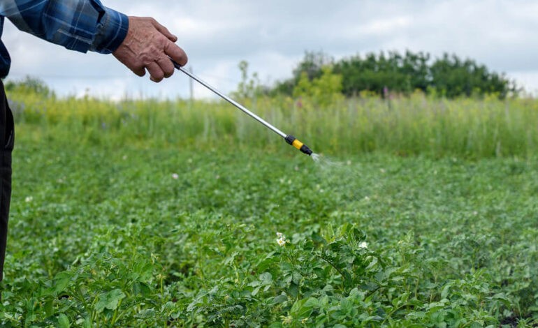  Jardin : Dosage du Roundup pour 5 litres d’eau